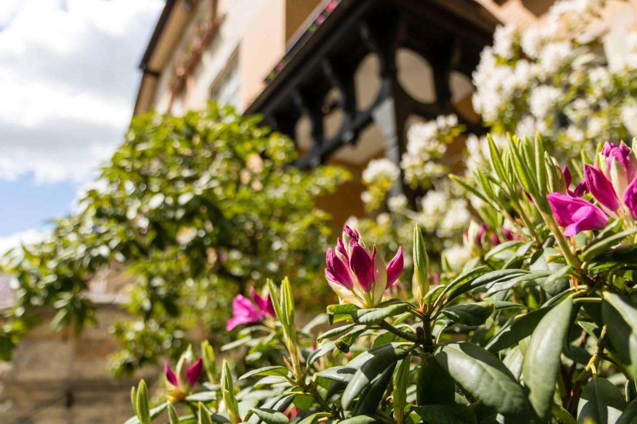 Gaestehaus Musmann Hannoversch Münden Exteriör bild
